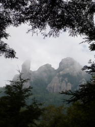 瑞牆山、道中から山頂付近☆16-9-11