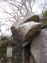 筑波山、ガマ石☆17-3-10