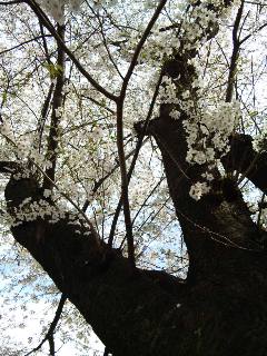 120415_145422.jpg