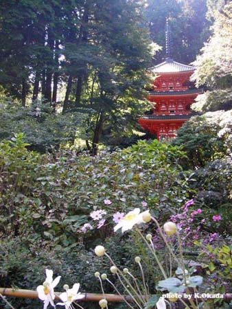 岩船寺・三重塔