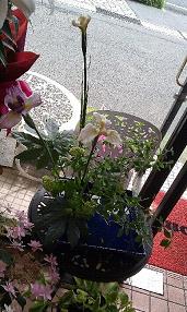 活花1
