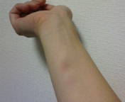 20081011223833.jpg