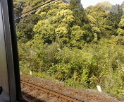20090502092939.jpg