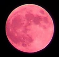 strawberrymoon0.jpg