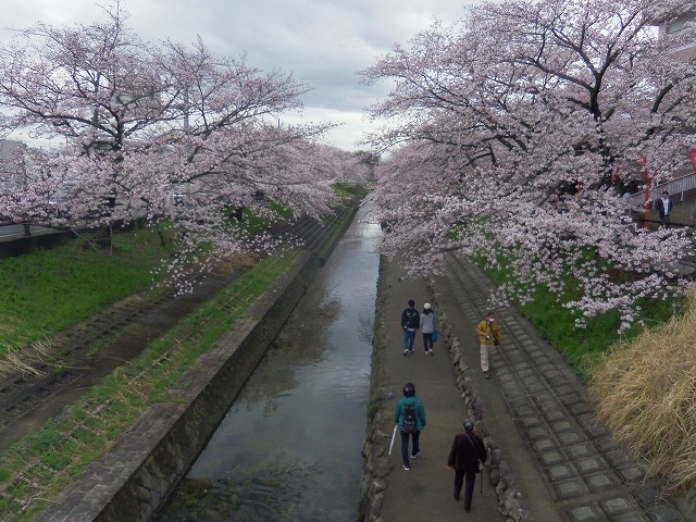 市 天気 高田 大和