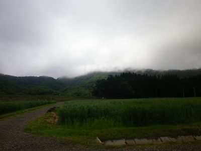 山頂・・・見えません