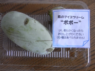 ポポー