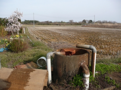 里の春