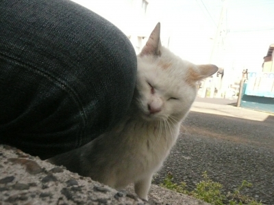 ゆきちゃん