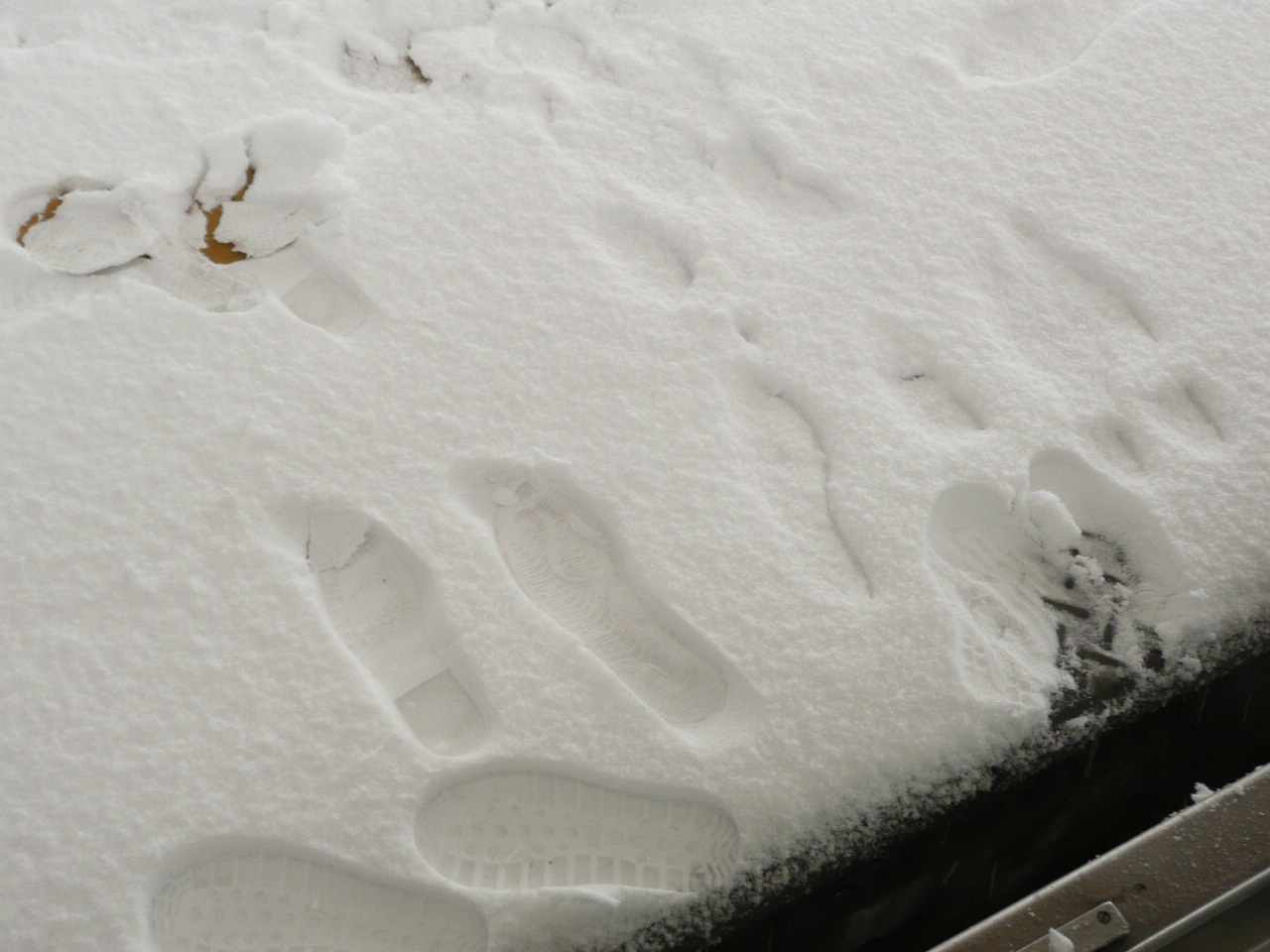 雪