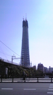 100322_095528_ed.jpg