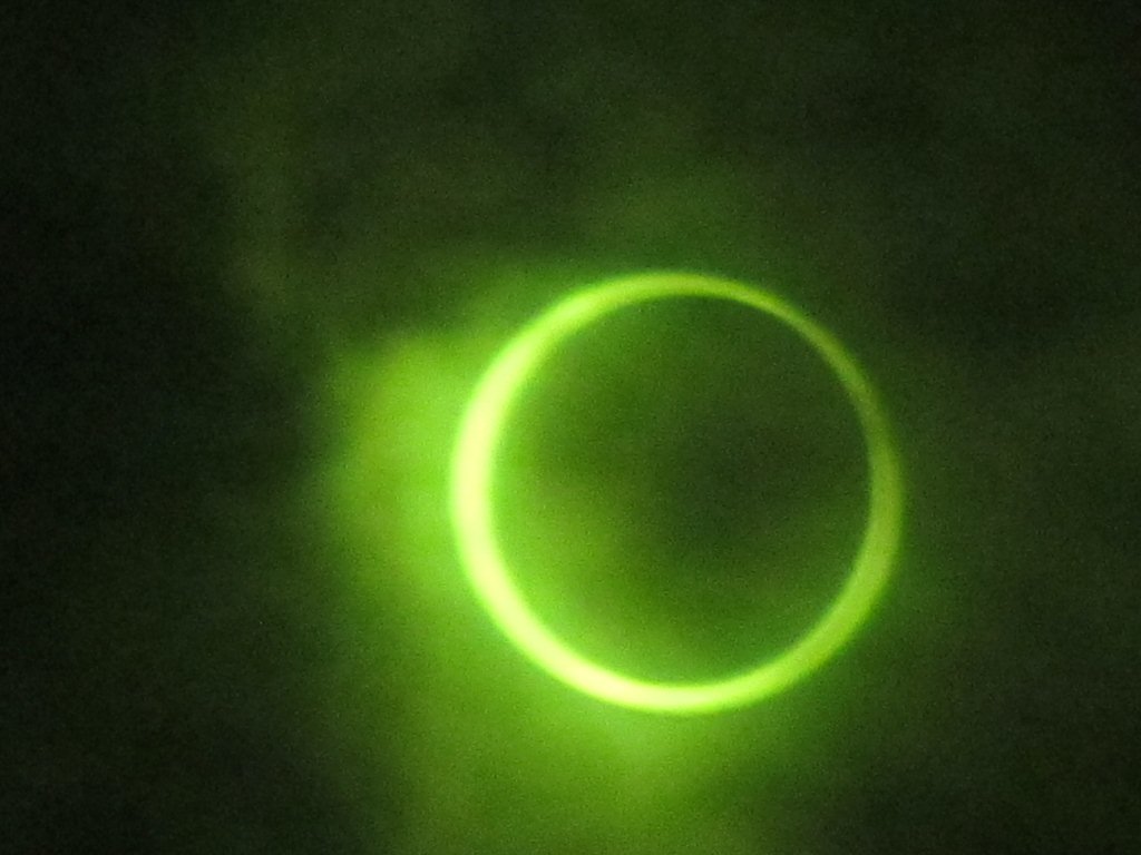 IMG_0110.jpg