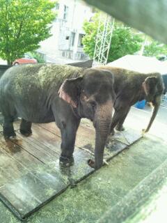 20120713_000959.jpg