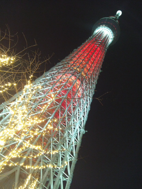 DSC_1265.JPG