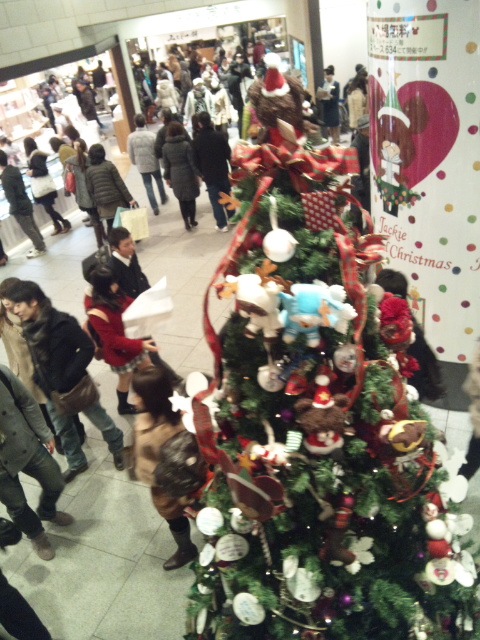 DSC_1270.JPG
