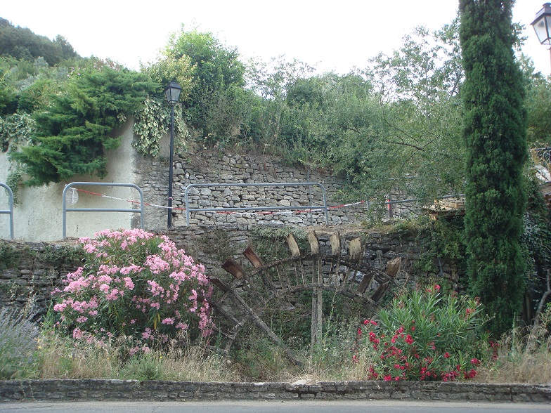 DSC06607.JPG