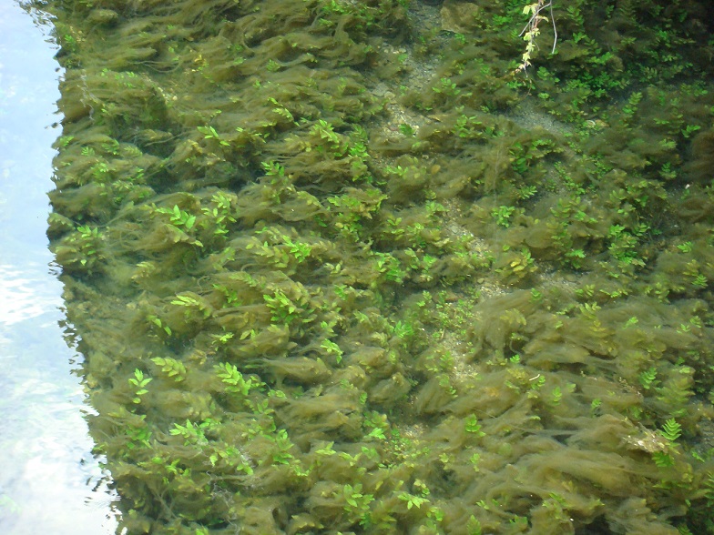 DSC06620.JPG