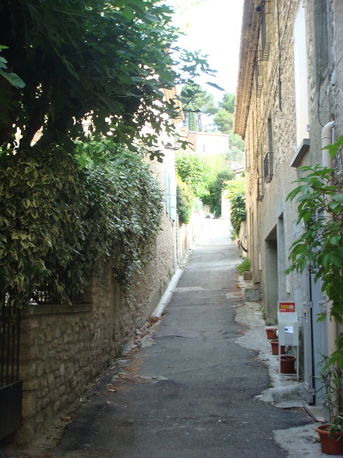DSC0667.jpg