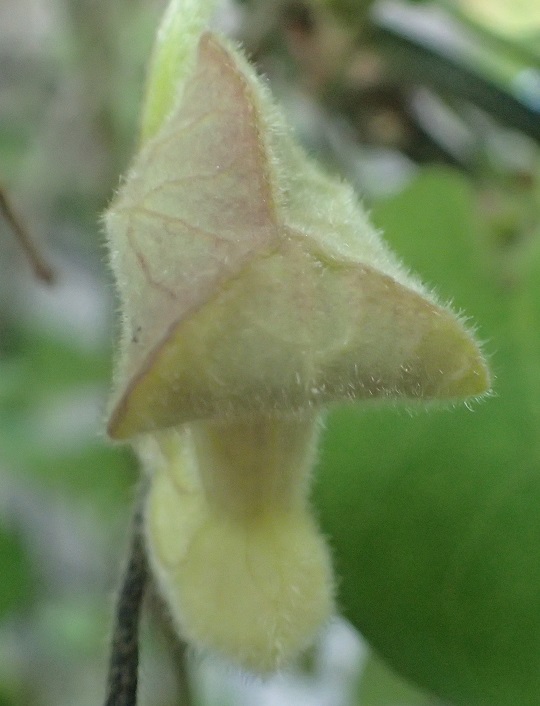 9/