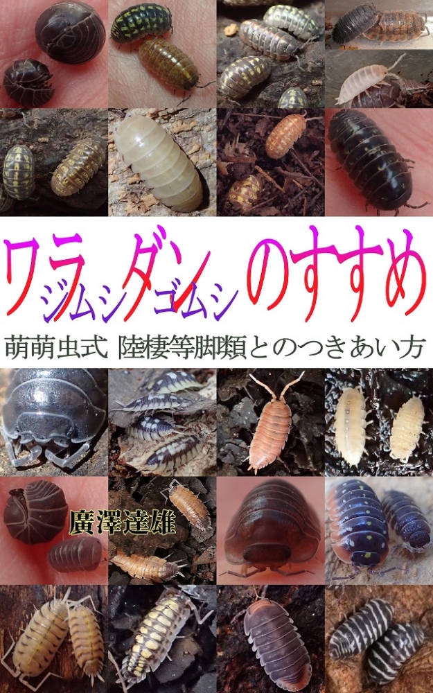 cover.jpg