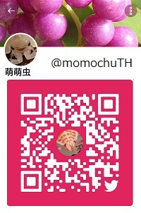 QR.jpg