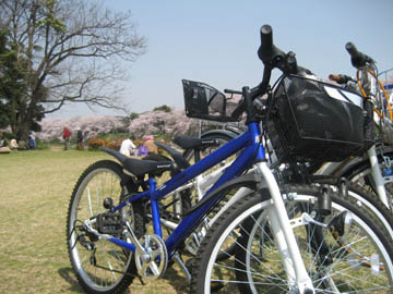 自転車