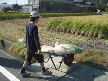 ネコ車