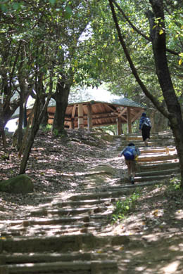 山登り