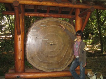 Muir Woods