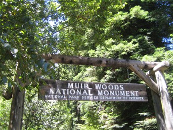 Muir Woods