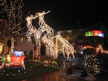Christmas Lights in San Carlos