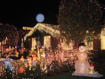 Christmas Lights in San Carlos