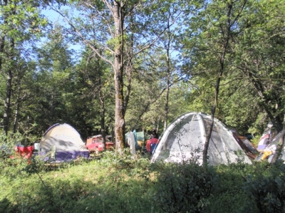 StillDream2009
