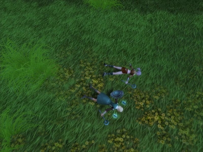 仲良く死亡中w