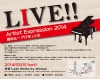 Artist Expression 2014