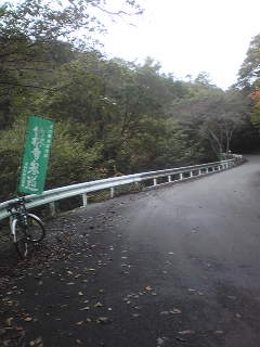 111107_123744.jpg