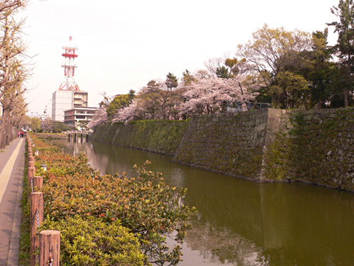 和歌山城下6