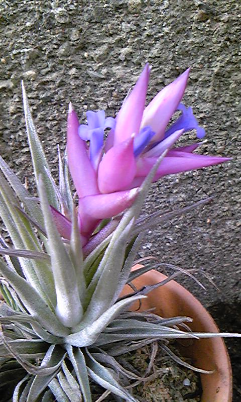 20100505_1144438.jpg 20100505_1144438.jpg