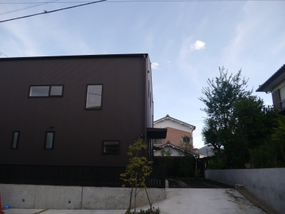 simoda