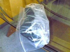 20060818_56328.jpg