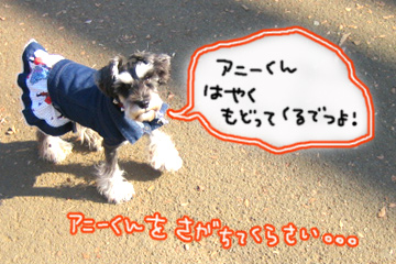 ロココからのお願い