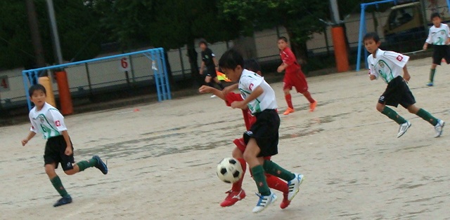 DSC09415.JPG