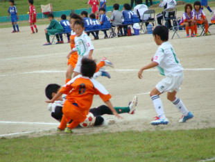 DSC09854.jpg
