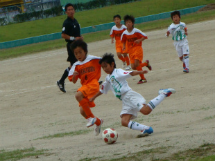 DSC09850.jpg