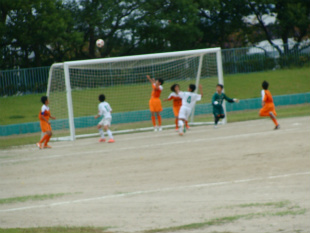 DSC09849.jpg