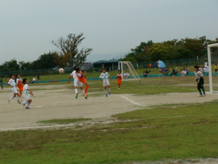 DSC09846.jpg