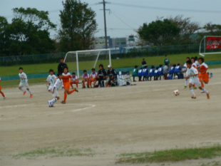 DSC09845.jpg