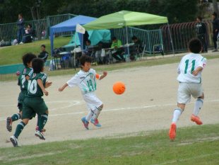 DSC09868.jpg