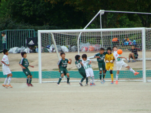 DSC09867.jpg