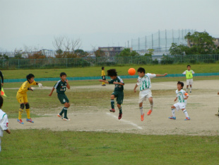 DSC09874.jpg